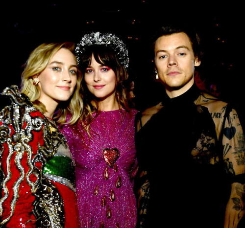 harrystylesdaily: Harry Styles with Saoirse Ronan and Dakota Johnson inside the MET Gala: Notes on C