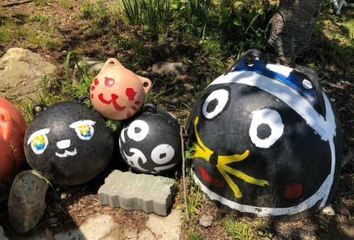 More Cats of Tashirojima, Miyagi Prefecture  by kobalt