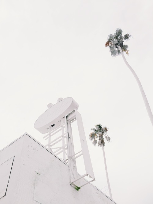 danielodowd:  http://rosiesimmons.vsco.co/  O