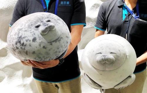 li4mrice:ofcoursethatsathing:Osaka Aquarium just stepped up their gift shop game with these fat seal