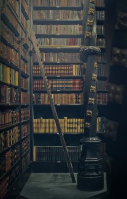 bluepueblo:  Rare Book Library, Rio de Janeiro,