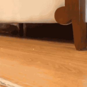 littlecuriousprincess:  mareethequeen:  @littlecuriousprincess   Oh 🤩