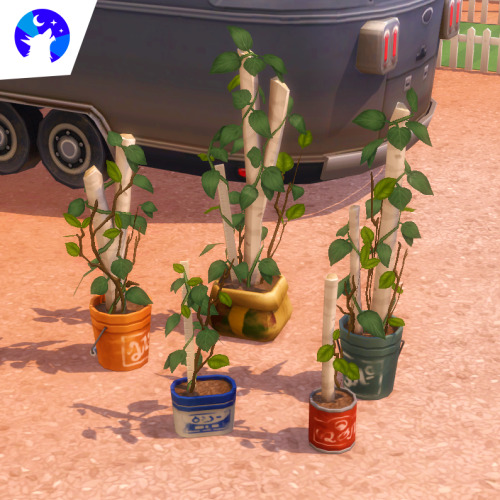 imfromsixam: “The Planter Five” separated plants! These #TS4Werewolves plants are beautiful, however