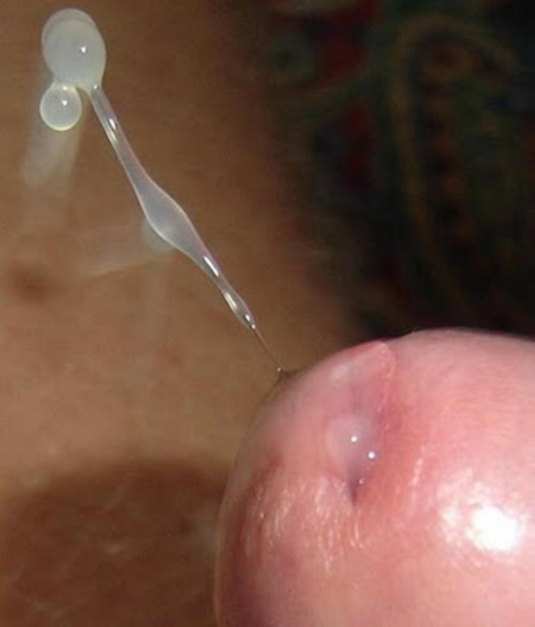 fortheloveofsemen:  Taken at the perfect moment with a serious high speed camera.