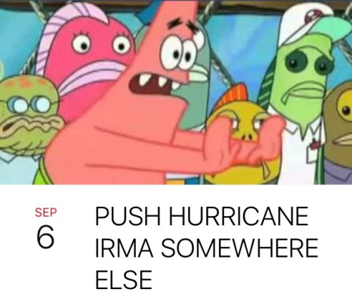 pineapplehangover: some of my favorite irma events while i tell myself i’m totally prepared fo