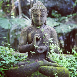 usernameisbeingused:  Keep Calm and Do Yoga. | via Tumblr on We Heart It. http://weheartit.com/entry/89731464/via/usernameisbeingused?utm_campaign=share&amp;utm_medium=image_share&amp;utm_source=tumblr 