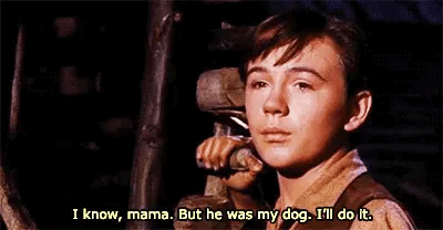 #old yeller from 1900 -1960's Gifs