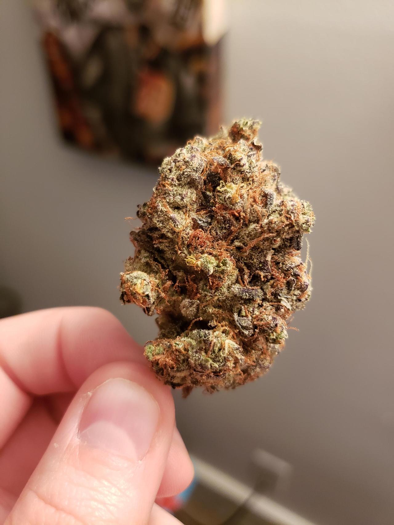 helianthus-spiritus:  This bud is prettier than me 😂