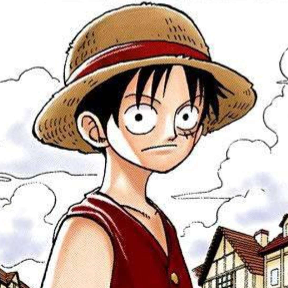 One Piece Icons, Luffy