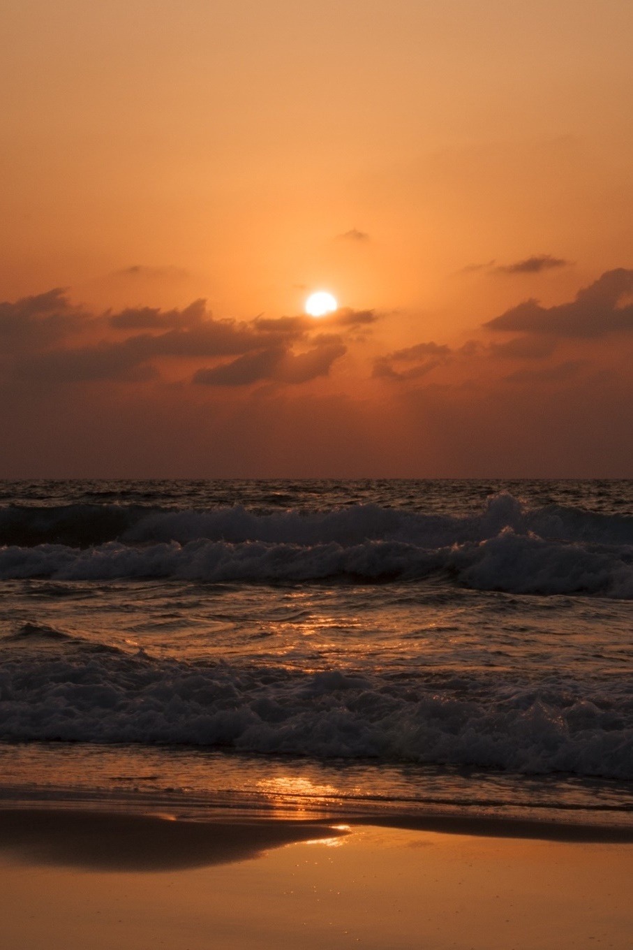 Kingdom Of The Ocean