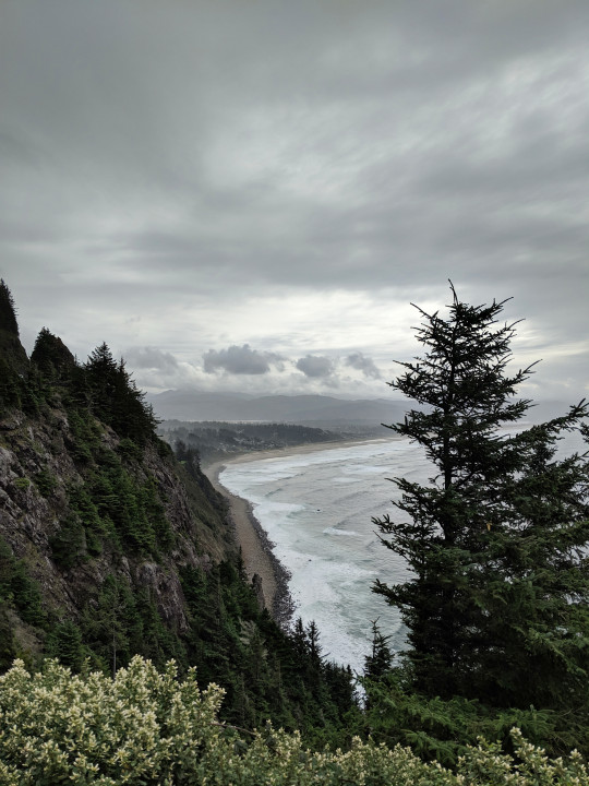 Porn photo blue-amy-marie:  Oregon Coast 