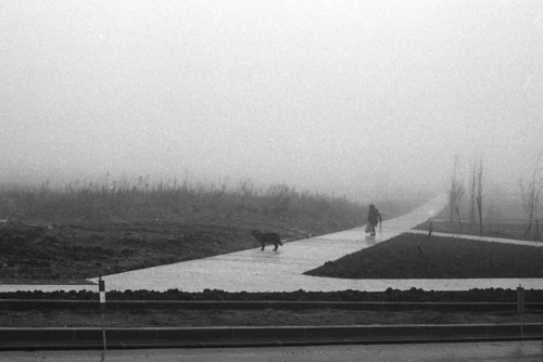 District Nord, jour de brouillard Canon eos500n, Ilford Hp5+ #normandie #lh #lh_lehavre #lehavre #su