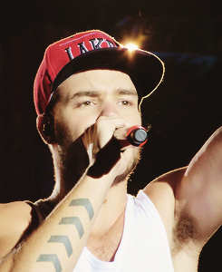 dailyonedirection:  Santiago, Chile x/x 