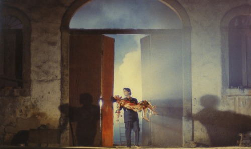 werther:Werner Schroeter, The Rose King (1985)