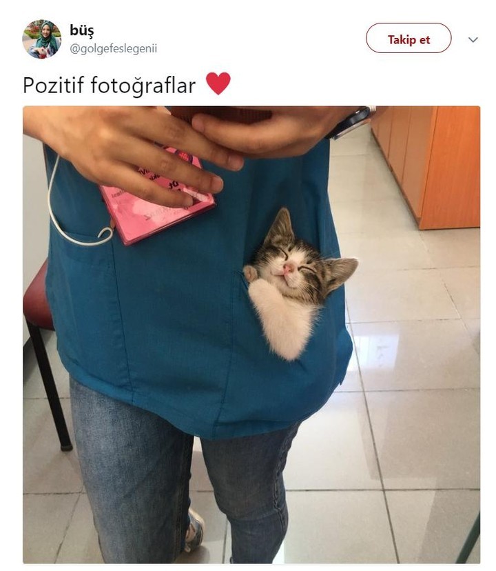 Pozitif fotoğraflar