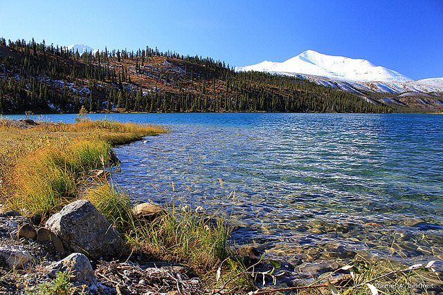 bcparks:  Scene From Stone Mountain Provincial Park by Critter Seeker.