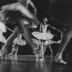 konzekvencia:  Swan Lake - Los Angeles Ballet by matt fry | www.frybros.com on Flickr. 