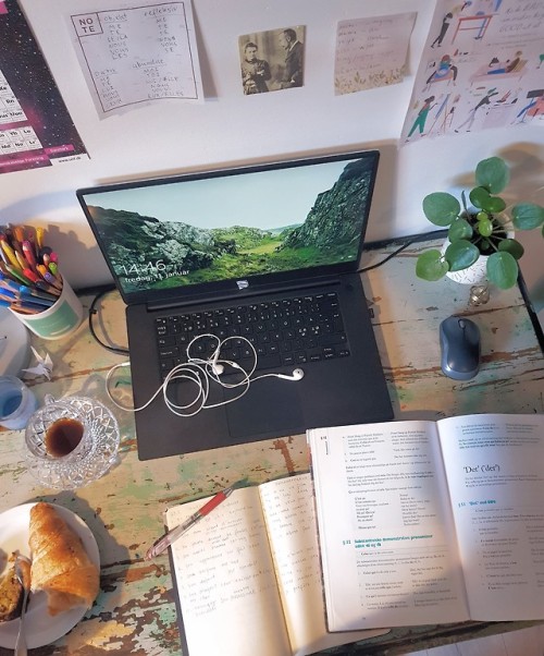 Had An Amazing Saturday, Studying French And Finally Getting My Motivation Back After A Bit Of A Slump