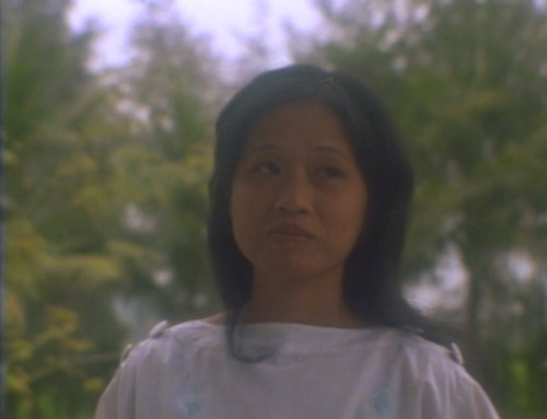abbaskiarostami: From Hollywood to Hanoi (1993) dir. Tiana Alexandra (Du Thi Thanh Nga) Survivor of 