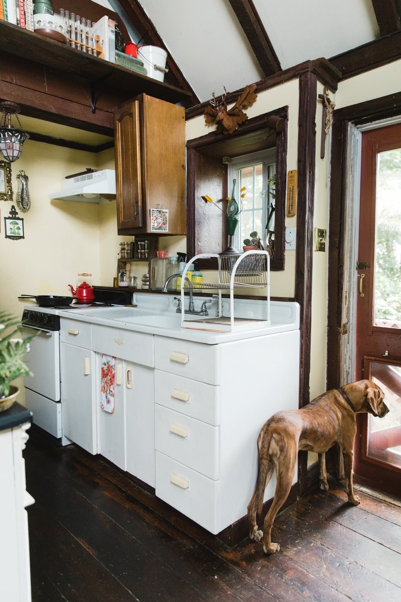 gravityhome:  Cluttered tiny home in Pennsylvania | photos by Carina Romano  Follow