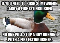 wolkenteiler:  Actual Advice Mallard.