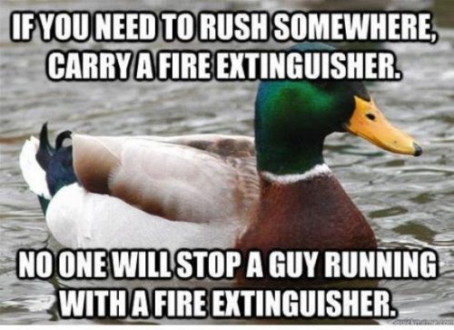 ifangirlinthecorner:  jacked-daniels:  hipsterinatardis:  wolkenteiler:  Actual Advice Mallard.  Bad news for the guy with the forearm fetish.  This duck can save lives.  This is grear 