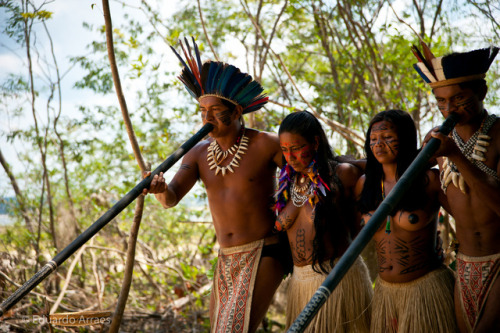 Brazilian Desana people, Rio Negro (Amazon). The Desana Indians – a native tribe which ranges from t
