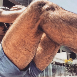 legman2013:  gorgeous hairy legs and thigs sexy pic