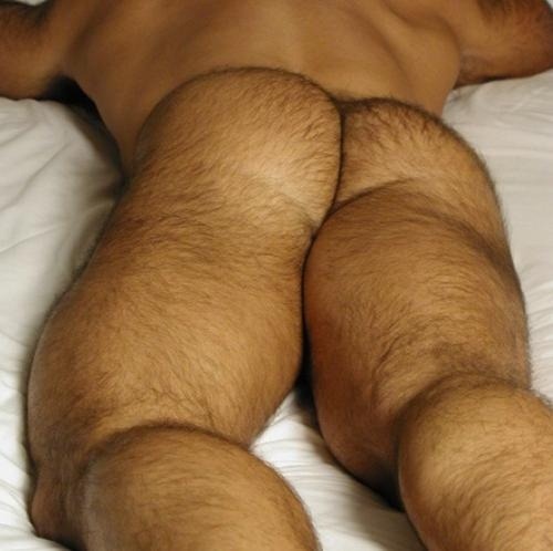 gayrotix: