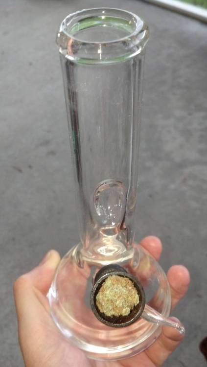 Into A Stoner's Mind!