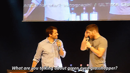 mrsivashkov-winchester:  [x]