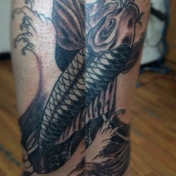 Primera Sesión #Tattoo #Tatuaje #Tattooblack #Ink #Inked #Pierna #Koi #Koifish #Pez