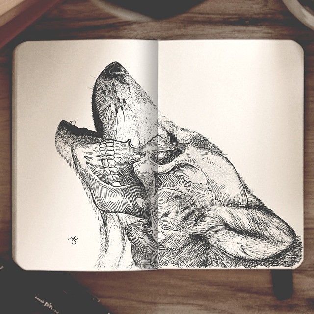 jedavu:  Surreal Hybrid Drawings Bloom and Burst Across Sketchbook PagesSelf-taught
