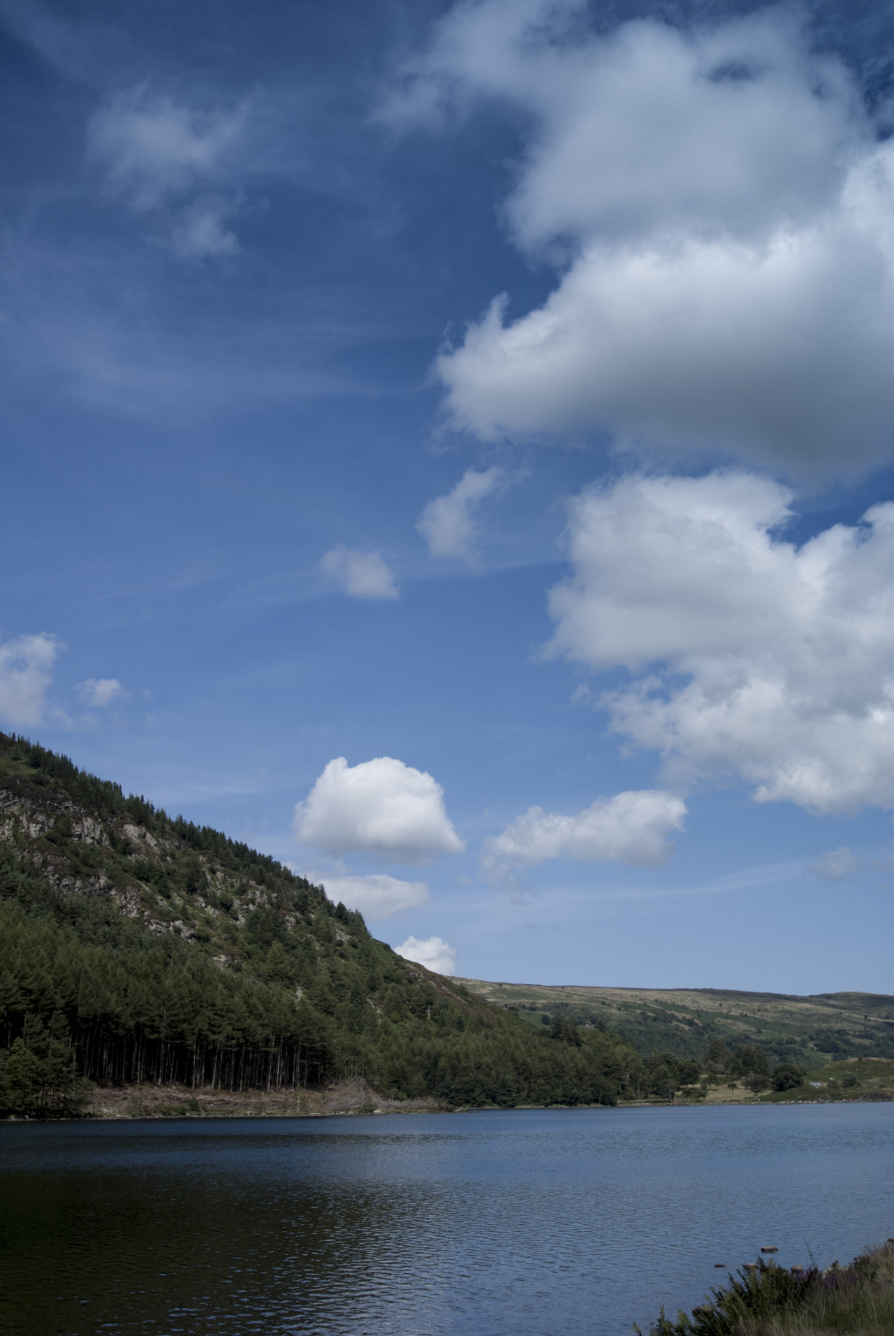 Llyn Geirionydd
Glanfor
Inspirational journey Online Portfolio Facebook Society6 Behanceorig