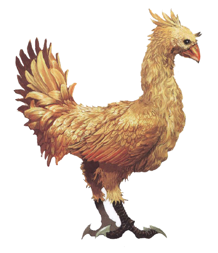 unseens:  Somethin bout those chocobos 
