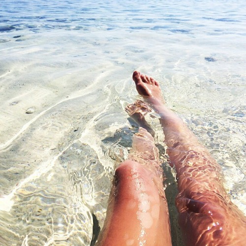 oceaneologism:  Ocean blog