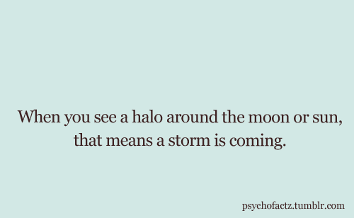 psychofactz:  More Facts on Psychofacts :)
