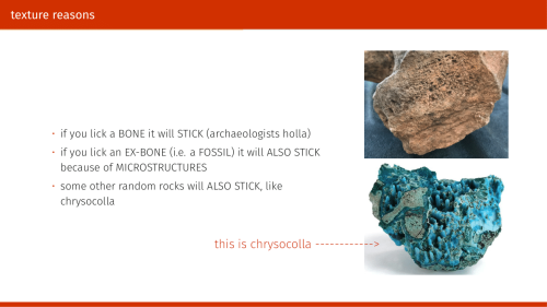 winterhazelly:okay tumblr I think it’s time I tell you all about rocks chonch, I have given this tal