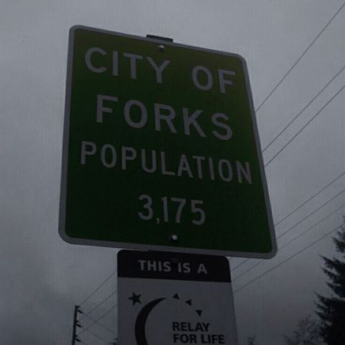 l0ving-twilight: POV: You live in Forks Washington