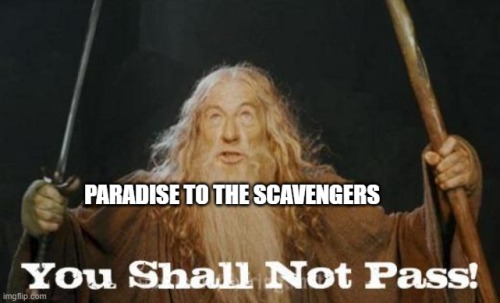 What If I Dropped A Bunch Of LOTR Memes About Shattered?