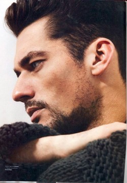 David Gandy