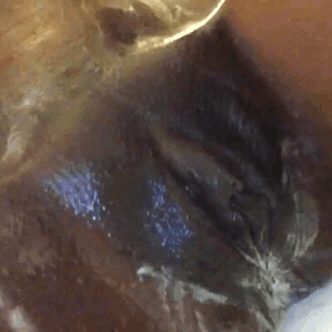 upsidedownme5:  Cream Pie