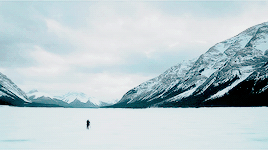 colinarthurgeoffrey:  15/366 movies: The Revenant (2015) “On est tous des sauvages.”
