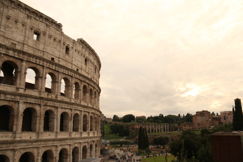 Colosseum - Rome