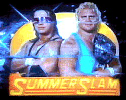 fuckyeah1990s:  WWF SummerSlam ‘91