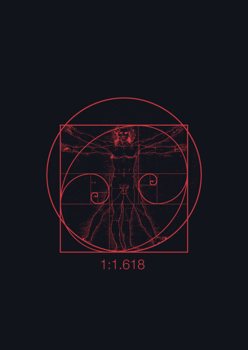 theusb:  Order From Chaos.
