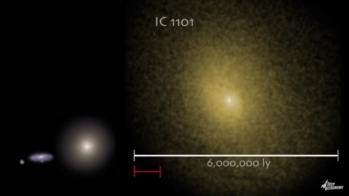 “IC 1101 Has Spent Most Of Its Life Colliding With Other Galaxies And Owes Its Size To These Collisions.