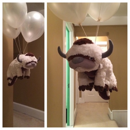 awwww-cute:  Sky bison is best bison. (Source: adult photos