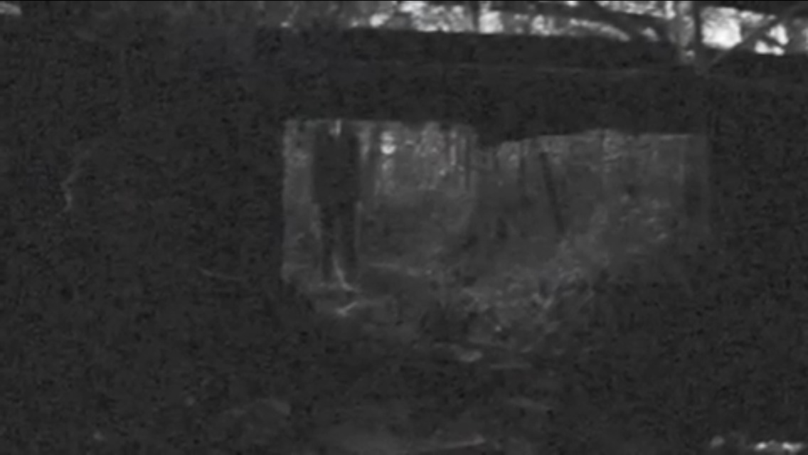 cosmiksol:  Slenderman sightings 