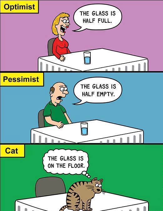 funnyimagesblog:  Funny Images http://ift.tt/1eaTLDp